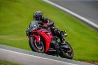 PJ-Motorsport-2019;anglesey;brands-hatch;cadwell-park;croft;donington-park;enduro-digital-images;event-digital-images;eventdigitalimages;mallory;no-limits;oulton-park;peter-wileman-photography;racing-digital-images;silverstone;snetterton;trackday-digital-images;trackday-photos;vmcc-banbury-run;welsh-2-day-enduro